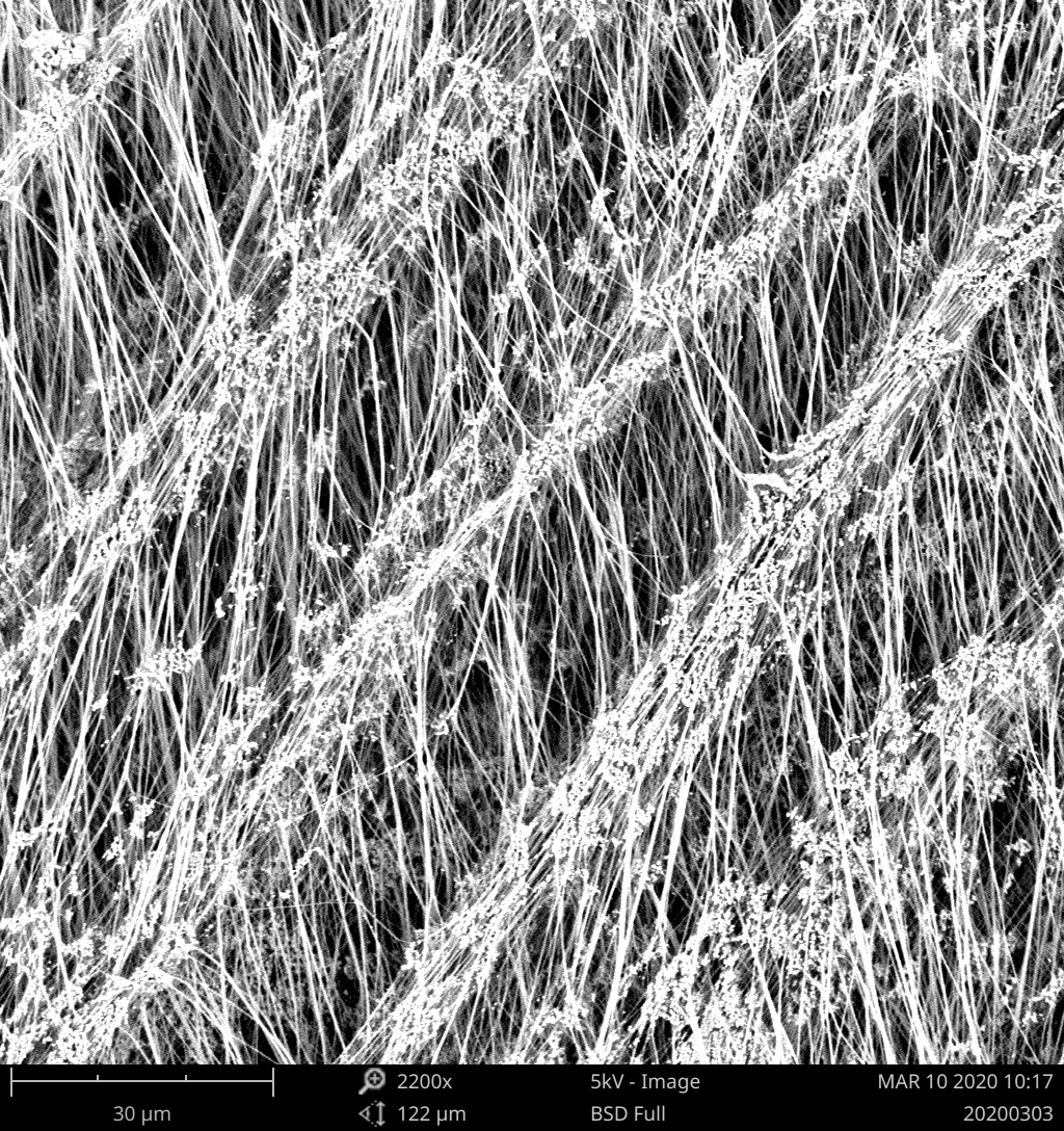3499拉斯维加斯科技