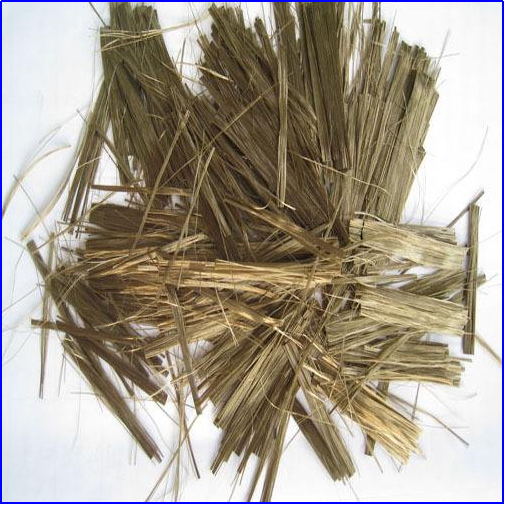 3499拉斯维加斯科技