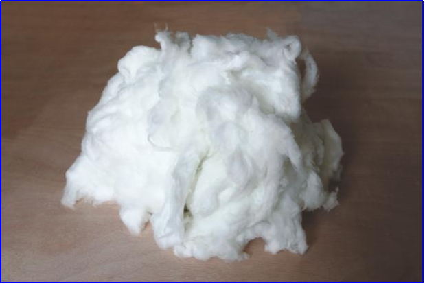 3499拉斯维加斯科技