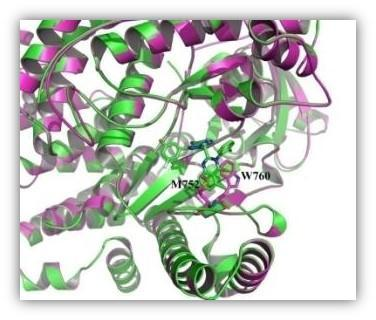 3499拉斯维加斯科技