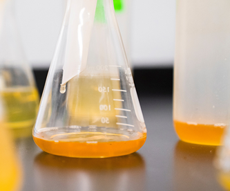 3499拉斯维加斯科技