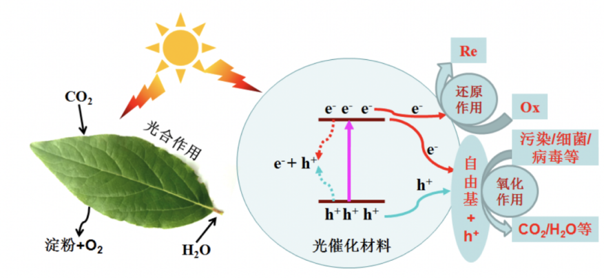 3499拉斯维加斯科技