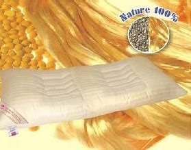 3499拉斯维加斯科技