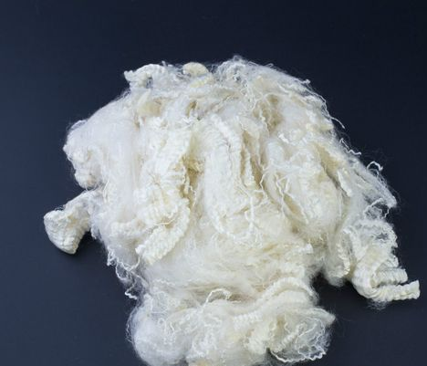 3499拉斯维加斯科技