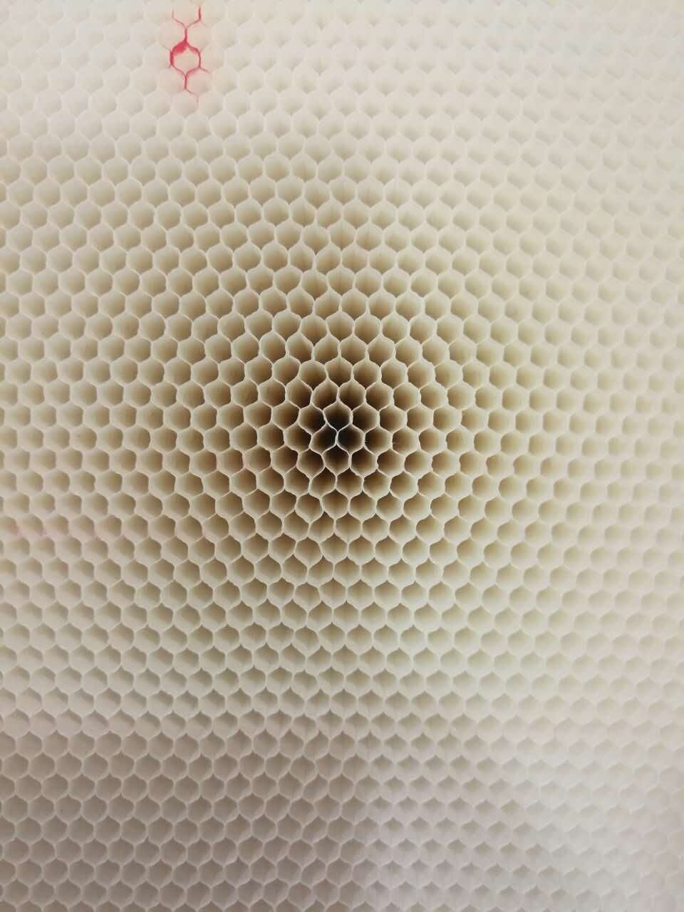 3499拉斯维加斯科技