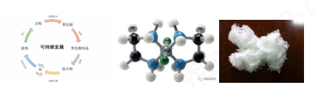 3499拉斯维加斯科技