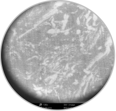 3499拉斯维加斯科技